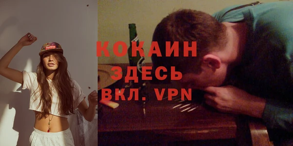 амф Богданович