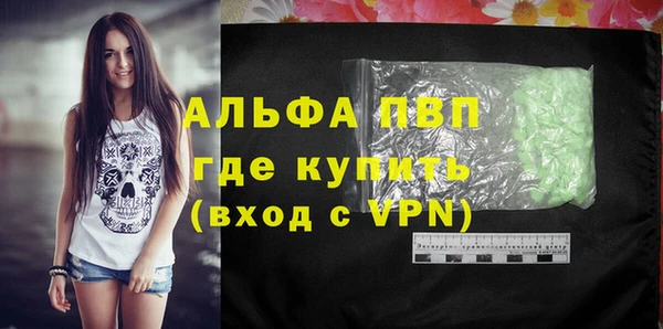 амф Богданович