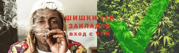 амф Богданович