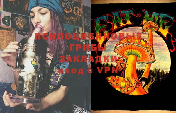 амф Богданович